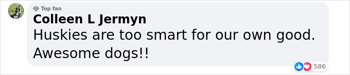 Police Makes “The Cutest Arrest Ever” After Dog Escapes Shelter And Tries To Free His Friends Police Makes “The Cutest Arrest Ever” After Dog Escapes Shelter And Tries To Free His Friends