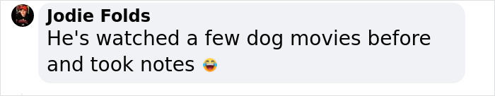 Police Makes “The Cutest Arrest Ever” After Dog Escapes Shelter And Tries To Free His Friends Police Makes “The Cutest Arrest Ever” After Dog Escapes Shelter And Tries To Free His Friends