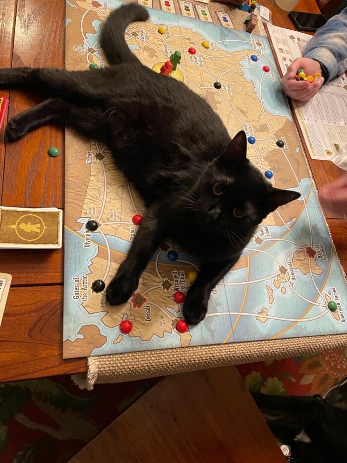 No Hiking Boots? No Problem! Gift Your Gal An Indoor Expedition With 'Trekking The National Parks' Board Game