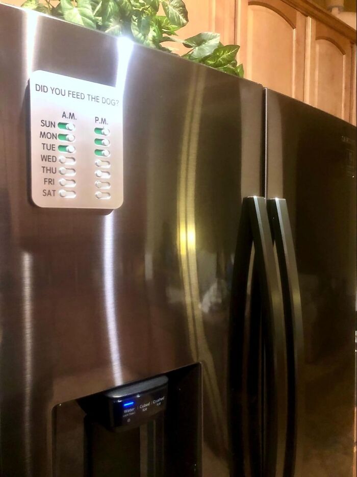 Magnetic dog feeding tracker on stainless steel refrigerator in a kitchen, a practical life hack for pet care.