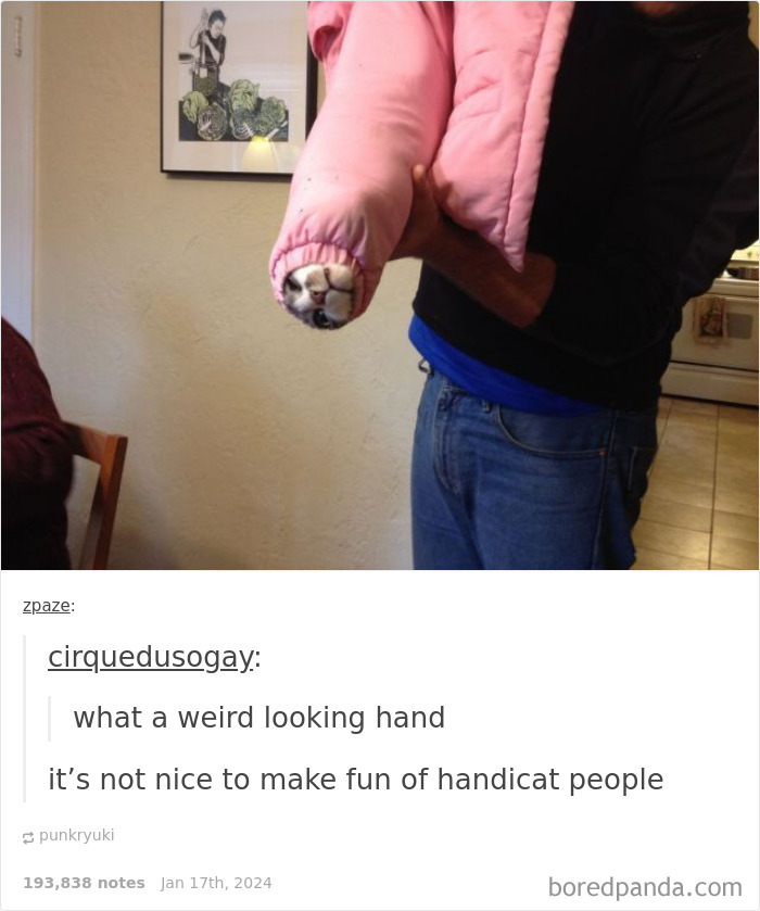 Funny-Animal-Memes-Posts