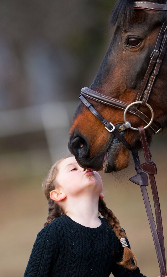 A Horse As A Pet (9 Pics)