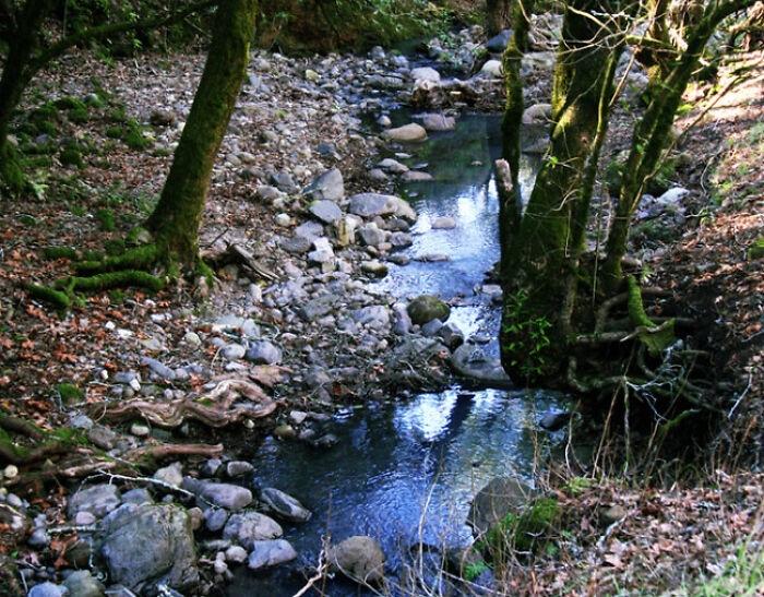 30 Biggest Problems Around Us That Many Are Unaware Of But Should Know