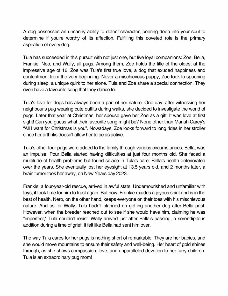 Celebrating Dogs & Their Humans