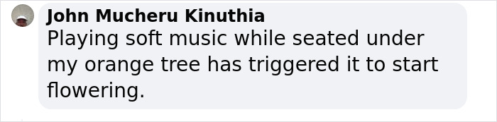 &ldquo;Amazing&rdquo; Video Of Plants Talking Has Social Media Reconsidering How They Thought About Life