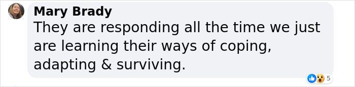 &ldquo;Amazing&rdquo; Video Of Plants Talking Has Social Media Reconsidering How They Thought About Life