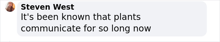 &ldquo;Amazing&rdquo; Video Of Plants Talking Has Social Media Reconsidering How They Thought About Life