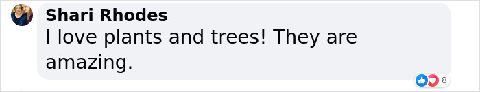 &ldquo;Amazing&rdquo; Video Of Plants Talking Has Social Media Reconsidering How They Thought About Life