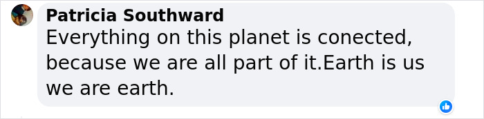 &ldquo;Amazing&rdquo; Video Of Plants Talking Has Social Media Reconsidering How They Thought About Life