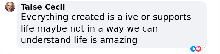 &ldquo;Amazing&rdquo; Video Of Plants Talking Has Social Media Reconsidering How They Thought About Life