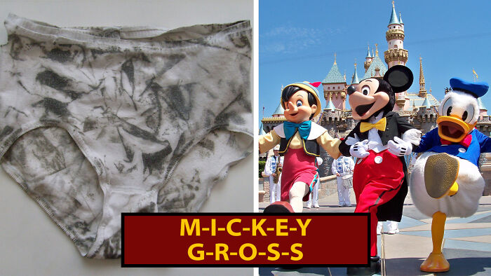 50 People Share “Today I Learned” Facts They Never Learned At School (New Facts)