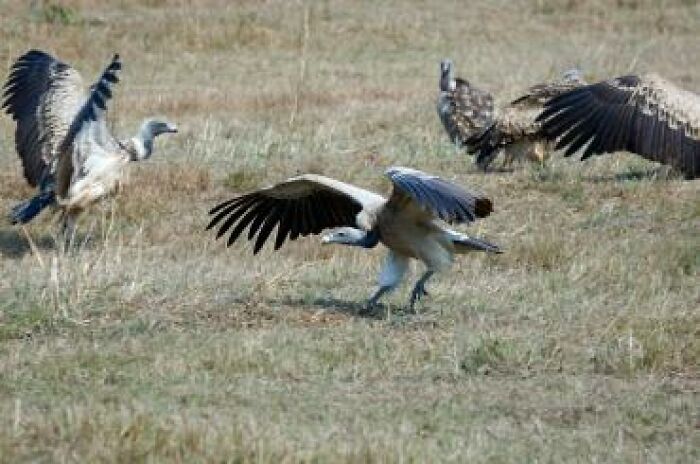 «Hoy aprendí»: 21 Datos nuevos y fascinantes para saciar tu sed de conocimiento