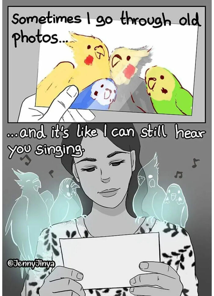 Artist Who Made People Cry With Her Grim Reaper Animal Comics Is Back With New Tearjerkers