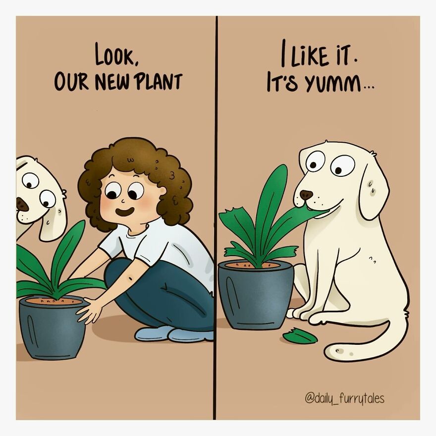 Artist Creates Comics That Explore The Unique Bond Between Humans And Their Furry Companions