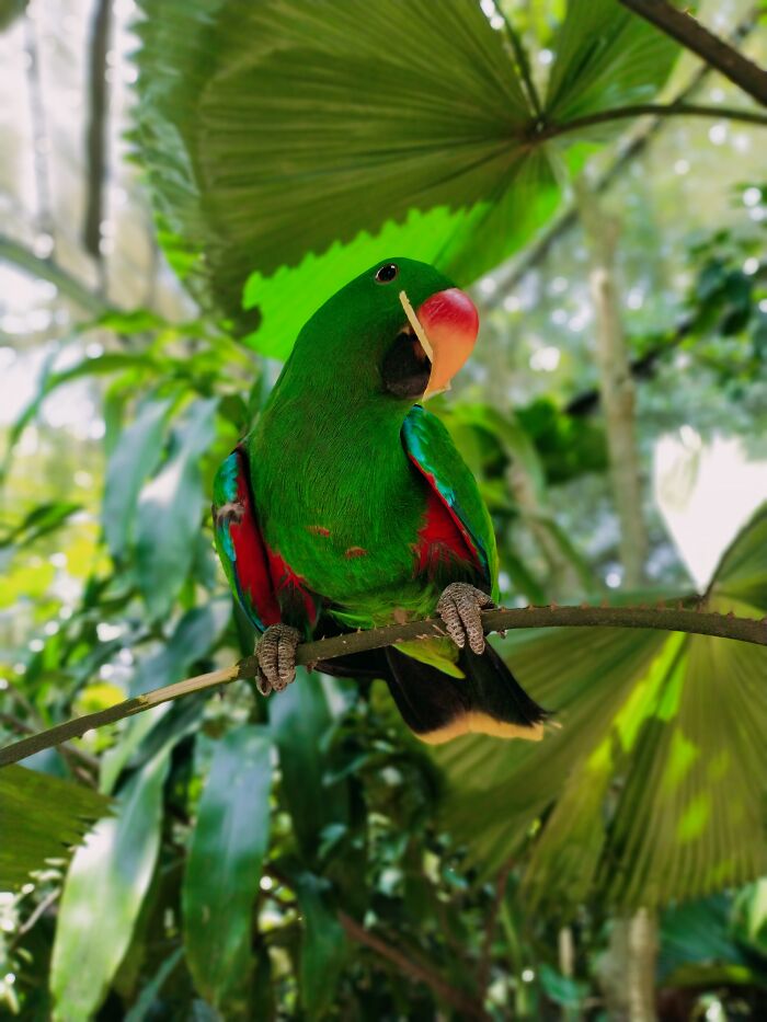 Took A Picture Of This Precious Lil Guy At Singapore Zoo