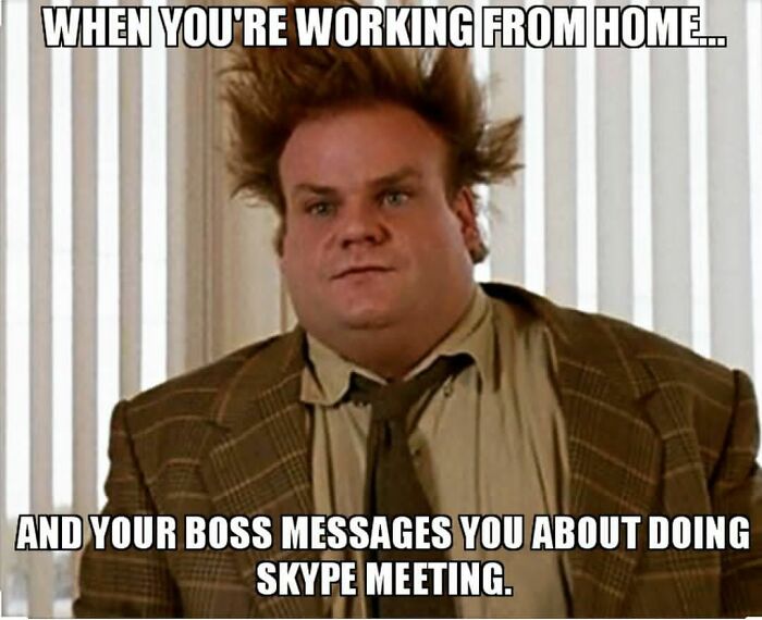 Funny-Work-From-Home-Memes