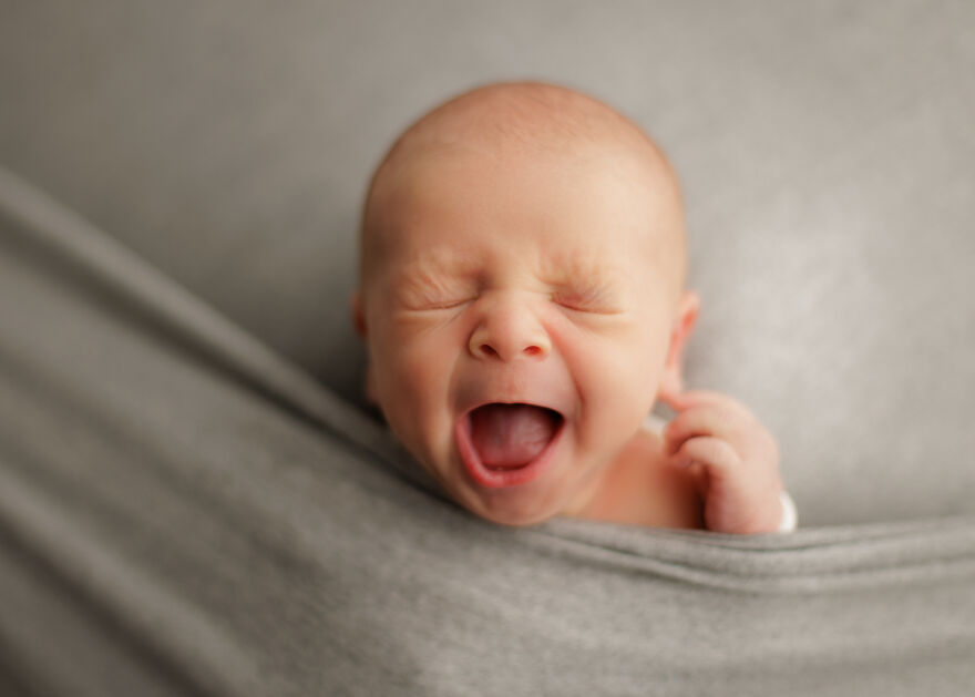 I'm A Chicago Newborn Photographer, And Here Are Some Recent Photos From 2024