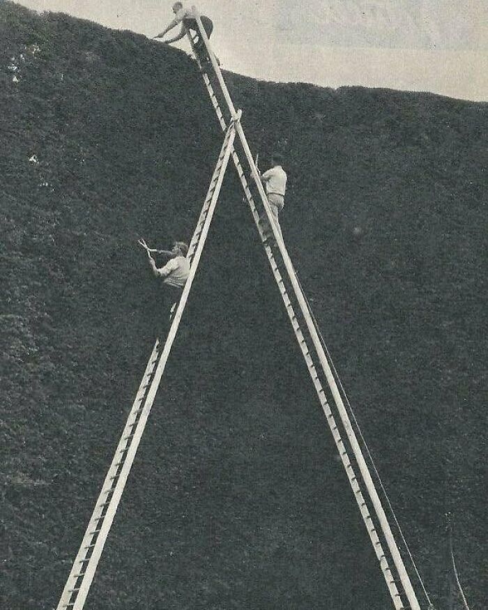 50 Times “Idiots At Work” Showed Just How Stupid Humans Can Be