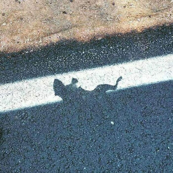 50 Times “Idiots At Work” Showed Just How Stupid Humans Can Be