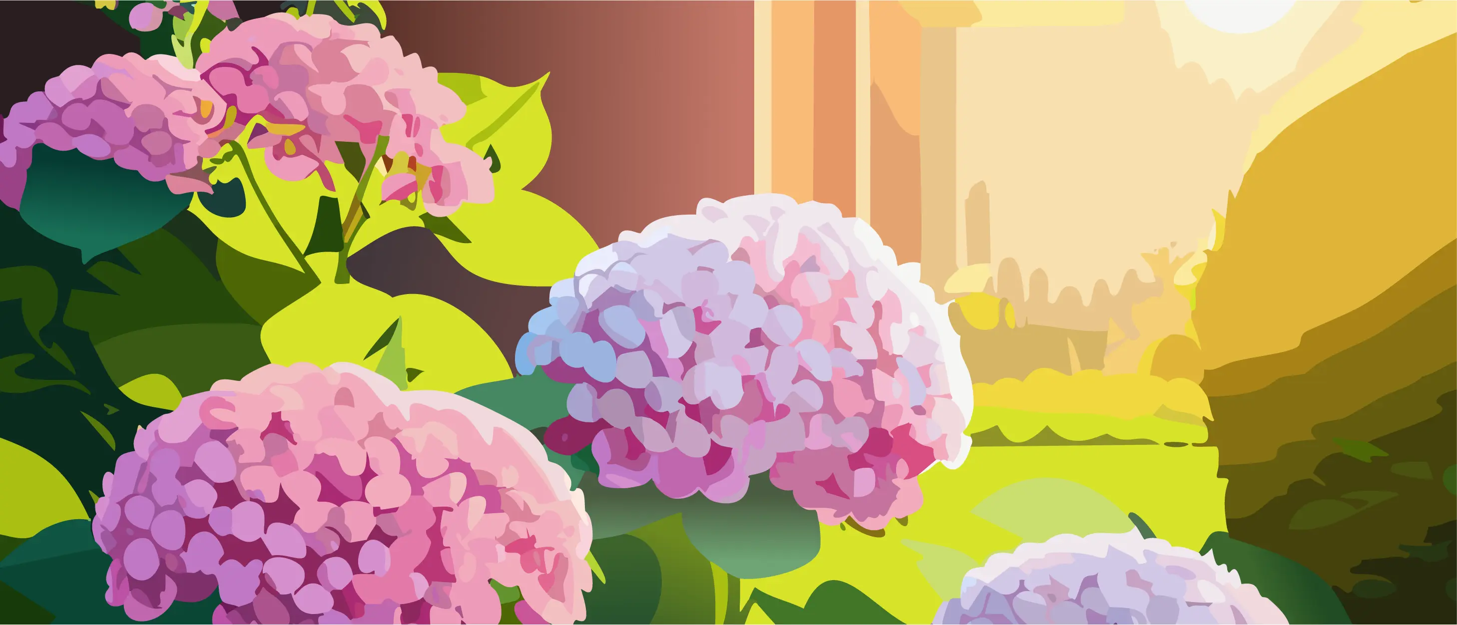 Strawberry Vanilla Hydrangea bush with pink and white blooms growing in a garden during golden hour sunlight.