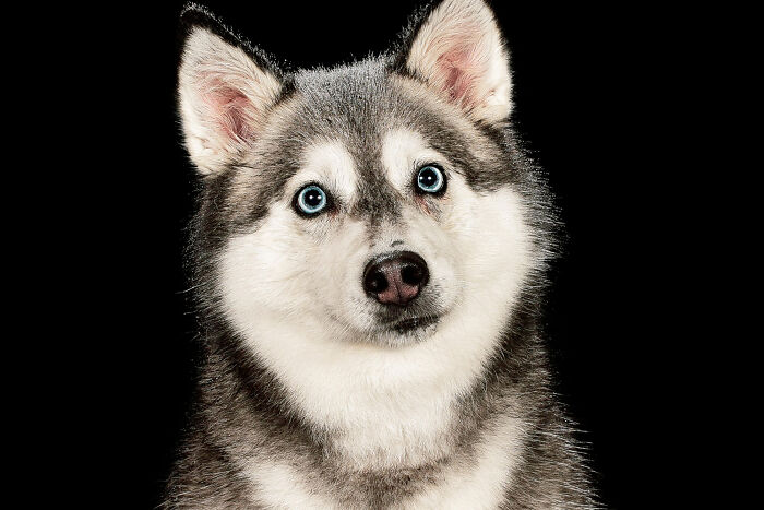 Water Portraits By Candice C. Cusic Photography