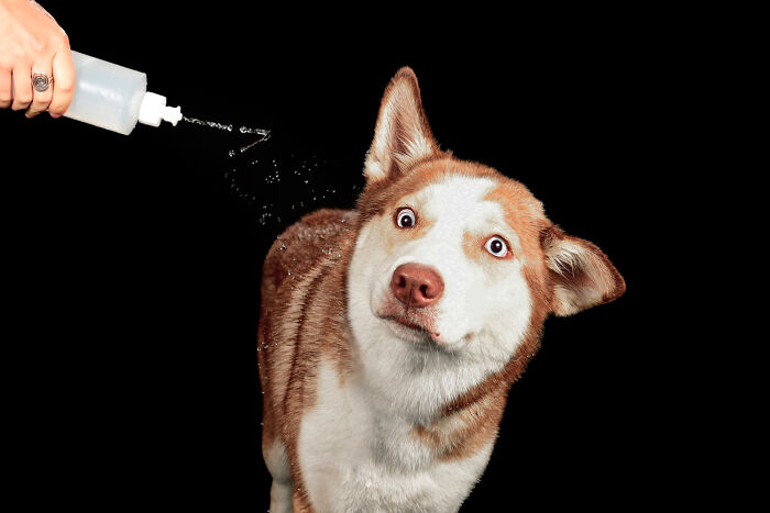 Water Portraits By Candice C. Cusic Photography