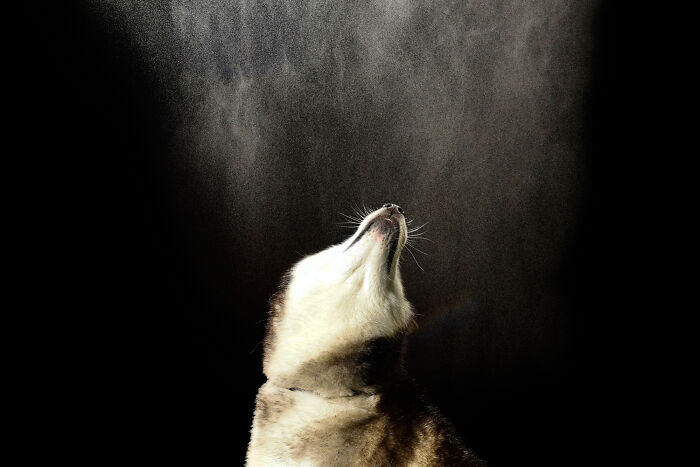 Water Portraits By Candice C. Cusic Photography