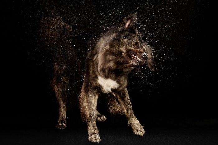 Water Portraits By Candice C. Cusic Photography