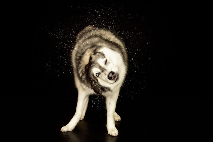 Water Portraits By Candice C. Cusic Photography