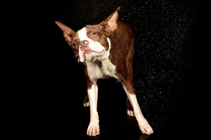 Water Portraits By Candice C. Cusic Photography