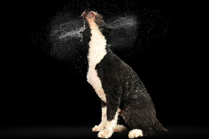 Water Portraits By Candice C. Cusic Photography