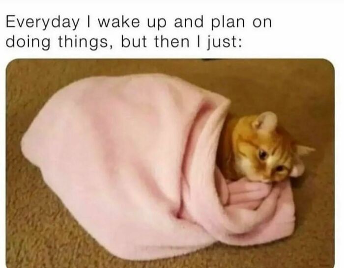 Queen-Of-Sarcasm-Memes