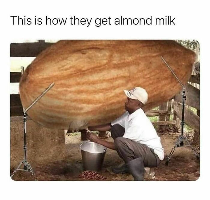 Funny-Pun-Bible-Memes