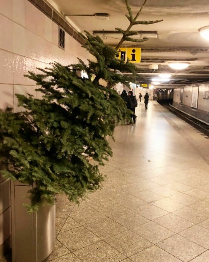 Berlin-Subway-Creatures-Weird-Funny-Pics