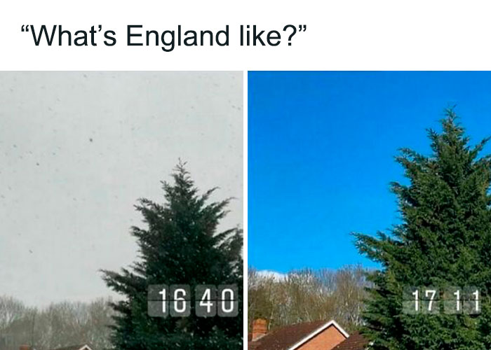 Best-Funny-British-Memes
