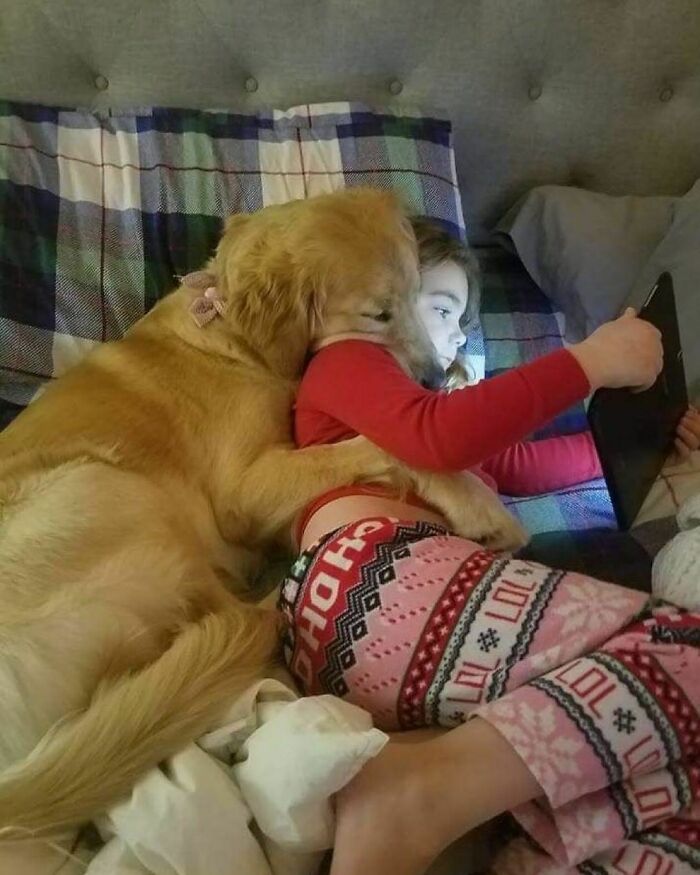 Hilarious-Animal-Pics