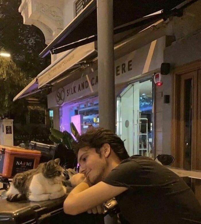 Hilarious-Animal-Pics