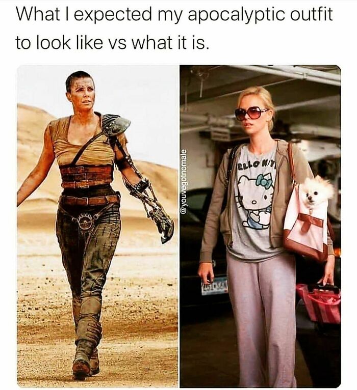 Comparison of expected apocalyptic outfit vs. casual lounging wear for a funny WFH meme.