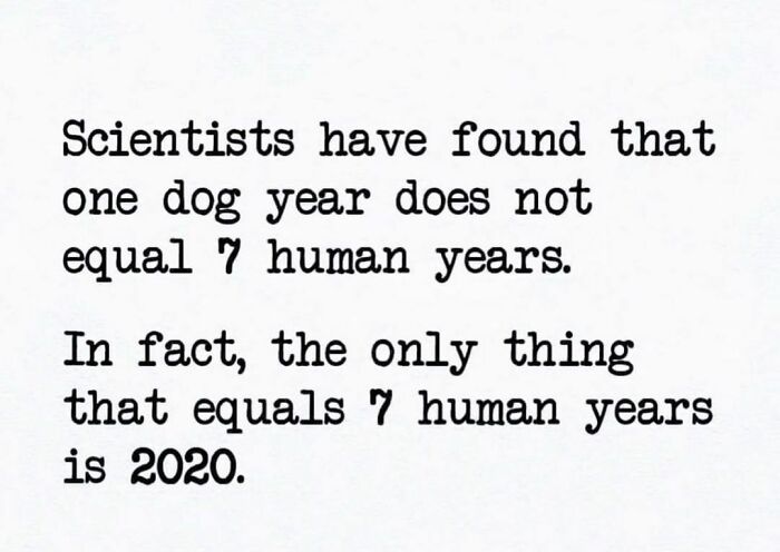 Funny-Work-From-Home-Memes