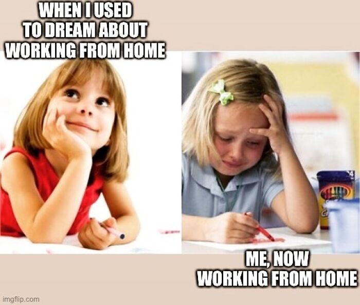 Funny-Work-From-Home-Memes