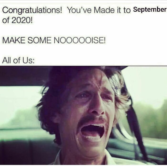 Funny-Work-From-Home-Memes