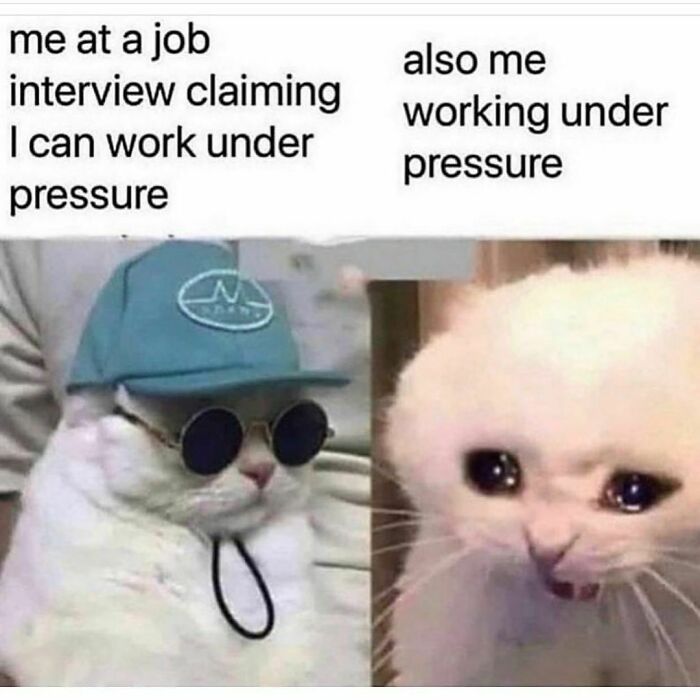 Funny-Work-From-Home-Memes