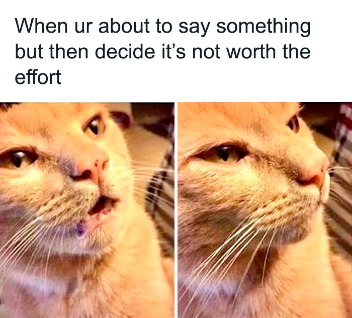 Funny-Relatable-Introverts-Memes