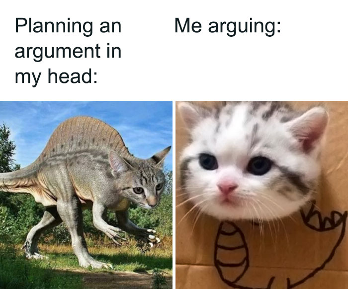 Funny-Animal-Memes-Posts