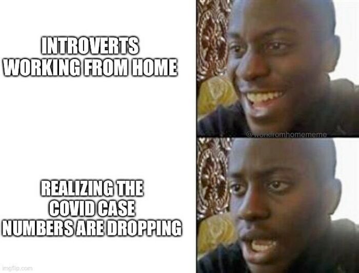 Funny-Work-From-Home-Memes