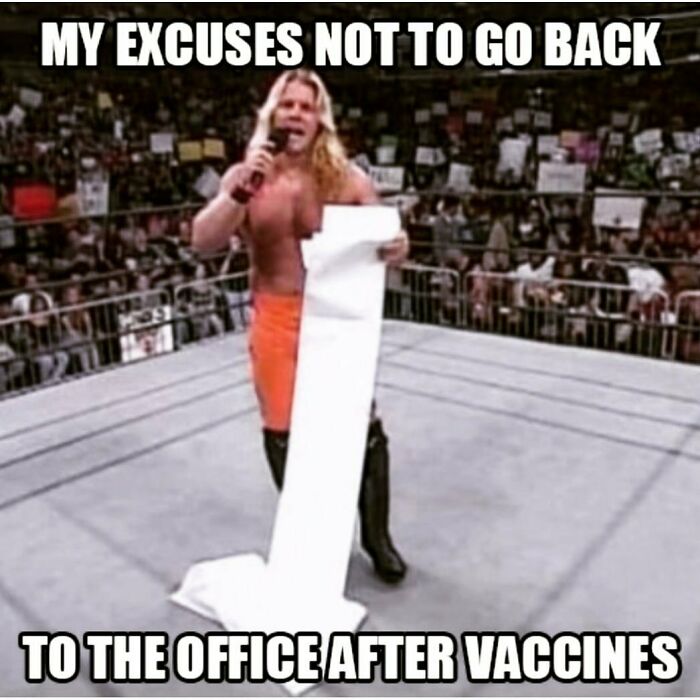 Funny-Work-From-Home-Memes