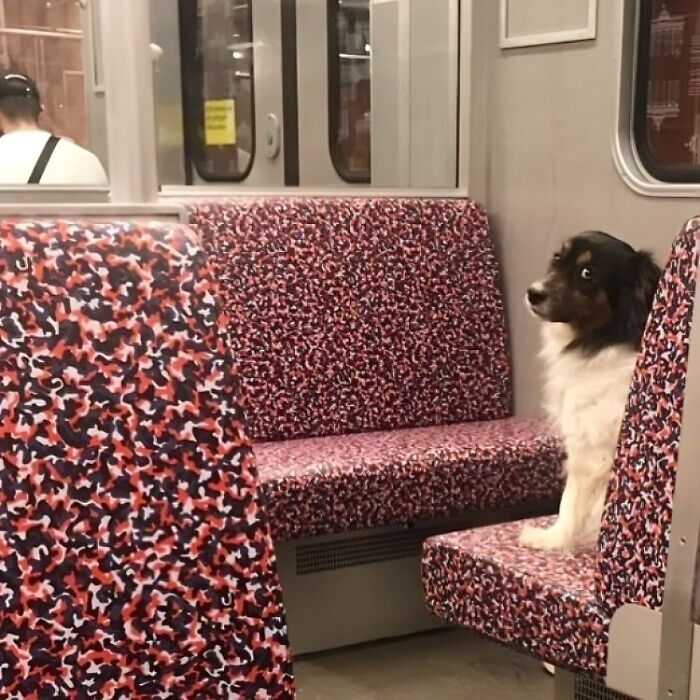 Berlin-Subway-Creatures-Weird-Funny-Pics