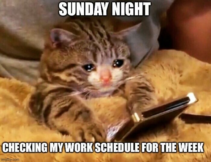 Funny-Work-From-Home-Memes