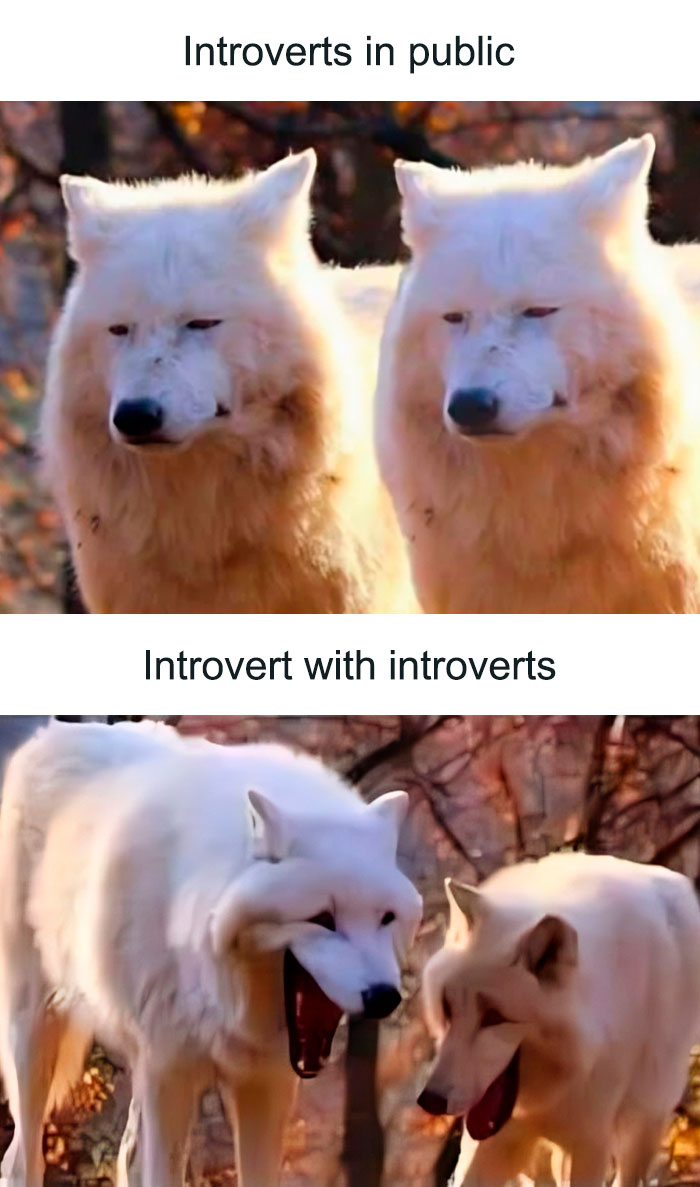 Funny-Relatable-Introverts-Memes