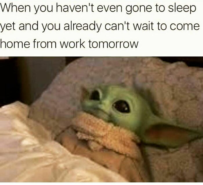 Funny-Work-From-Home-Memes